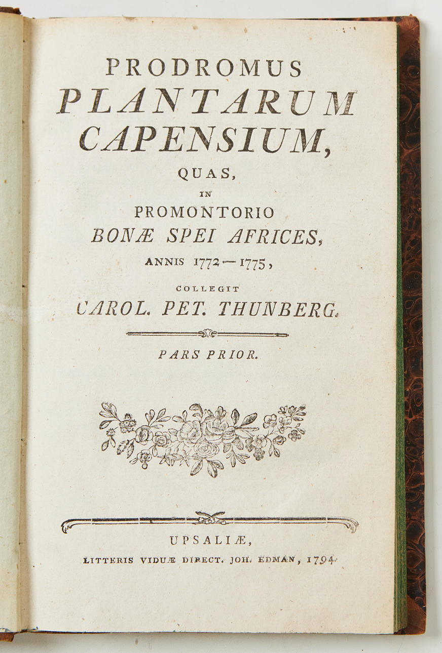 THUNBERG, Prodromus plantarum Capensium, 1794-1800. Books, Maps ...