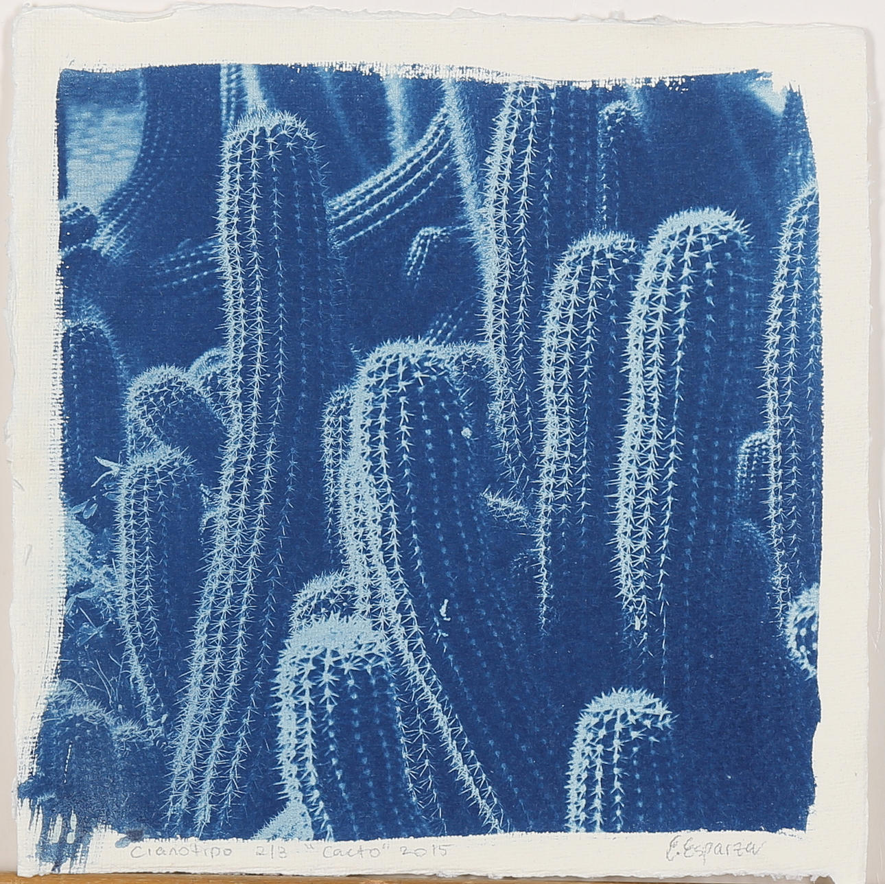 EVANGELINA ESPARZA. "Cacto" grafiskt tryck, signerad E Esparza, numrerad 2/3 samt daterad 2015.