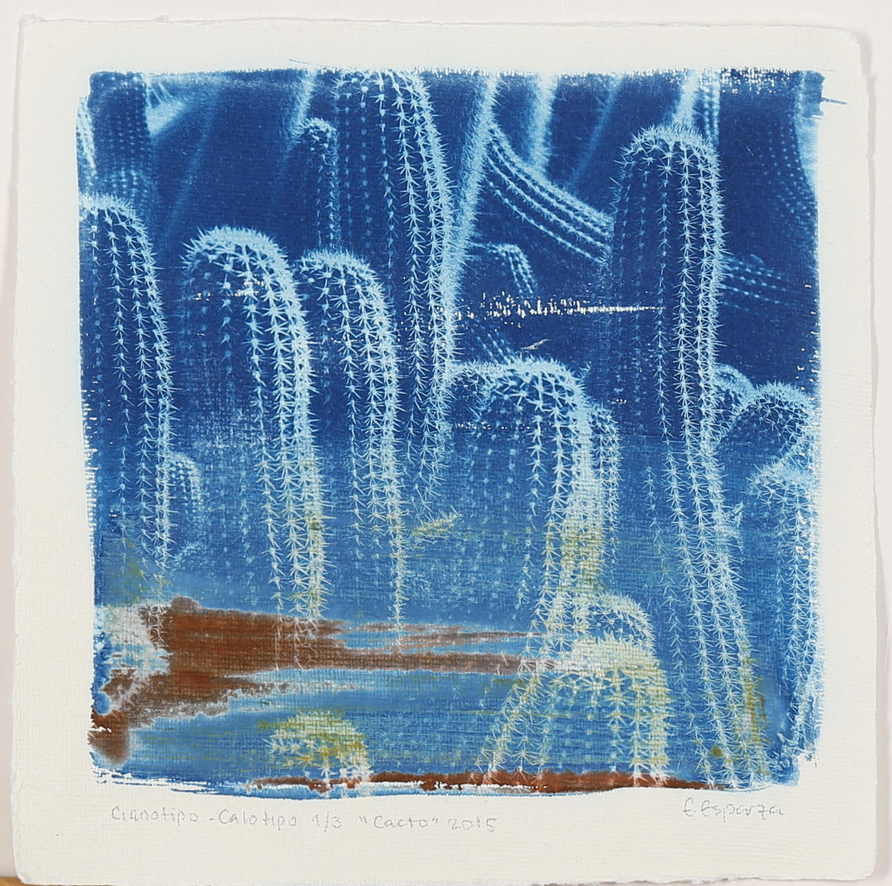EVANGELINA ESPARZA. "Cacto" grafiskt tryck, signerad E Esparza, numrerad 1/3 samt daterad 2015.