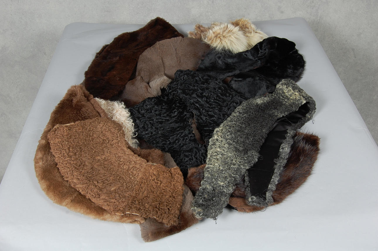 PÄLSKRAGAR, 10 st, från körsnär.