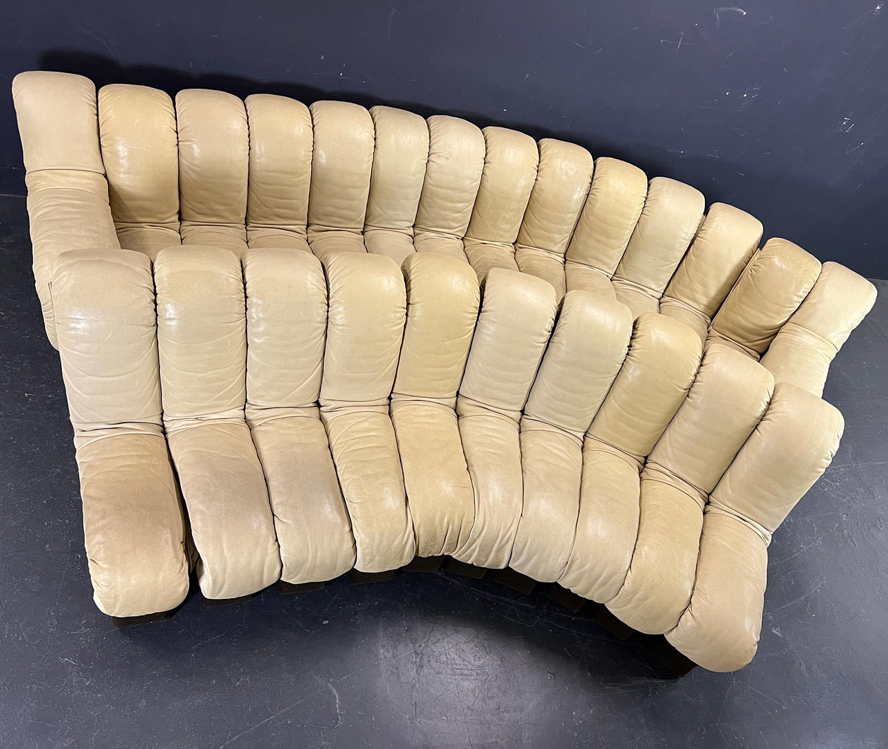 FROM HEADQUARTERS DS600 TATZELWURM (24).