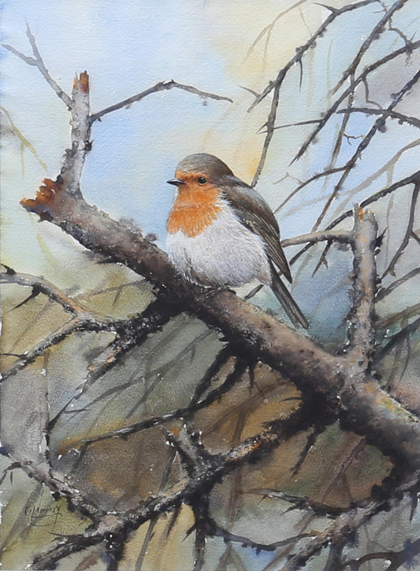 ALI POURNOROOZY. Robin. Watercolor, signed.