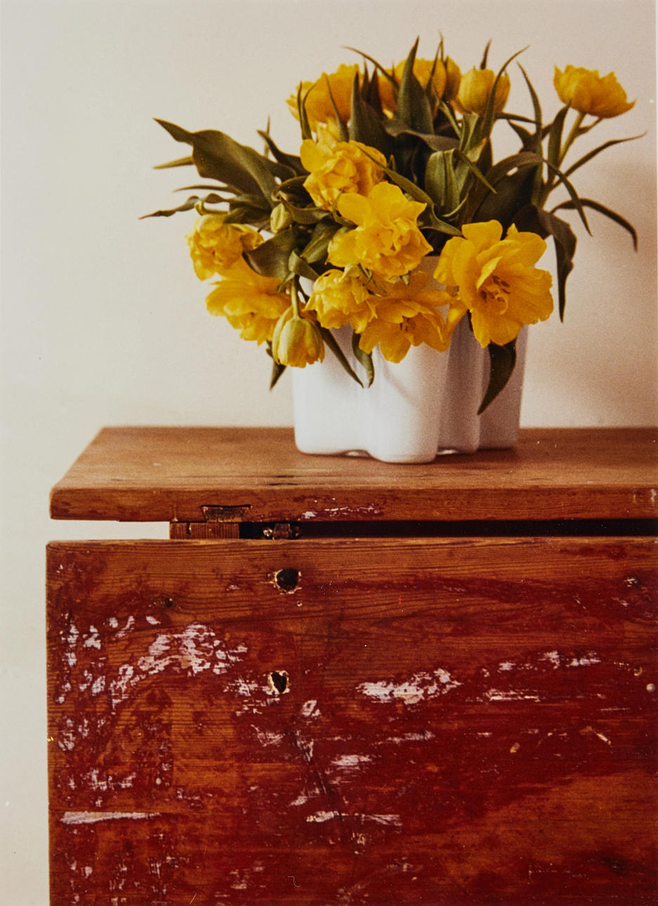 HANS HAMMARSKIÖLD. Tulips.