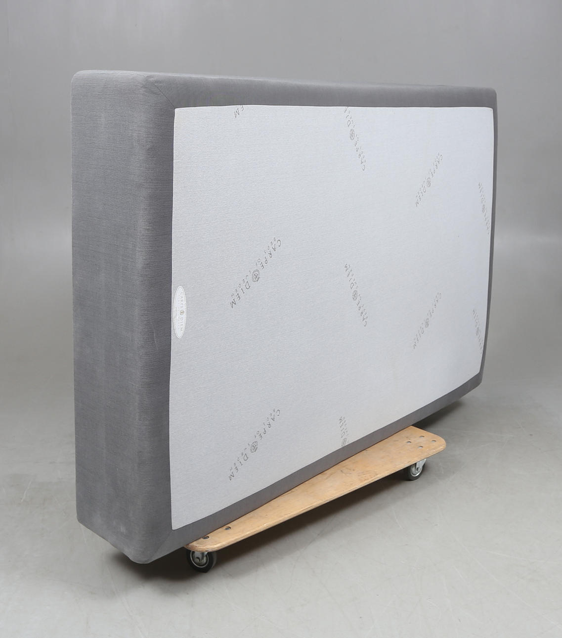 SENGE/FJEDERMADRAS, Carpe Diem.