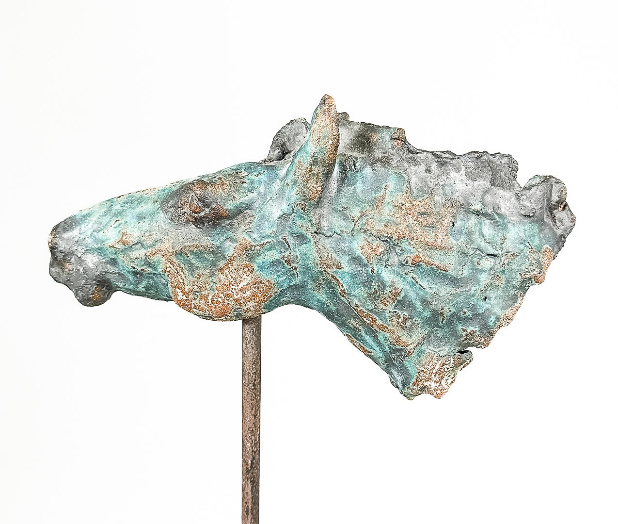 SCULPTURE, Plaster/Ceramic, horse's head.