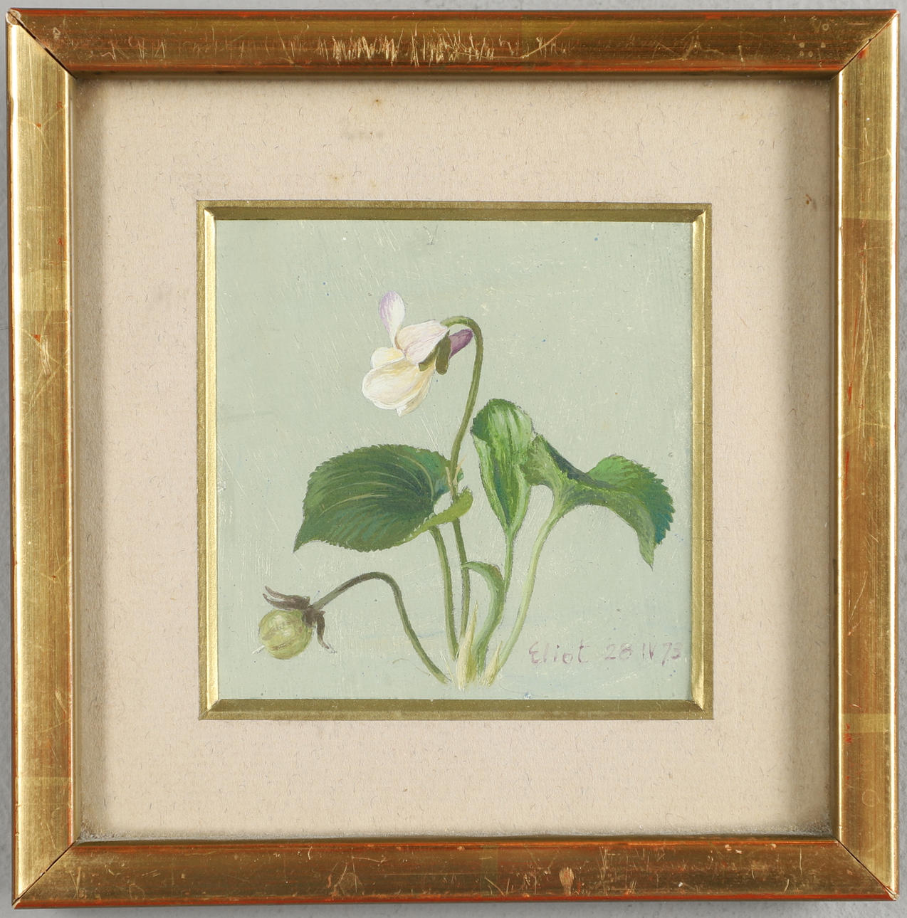 ELIOT HODGKIN (1905-1987). VIOLET.