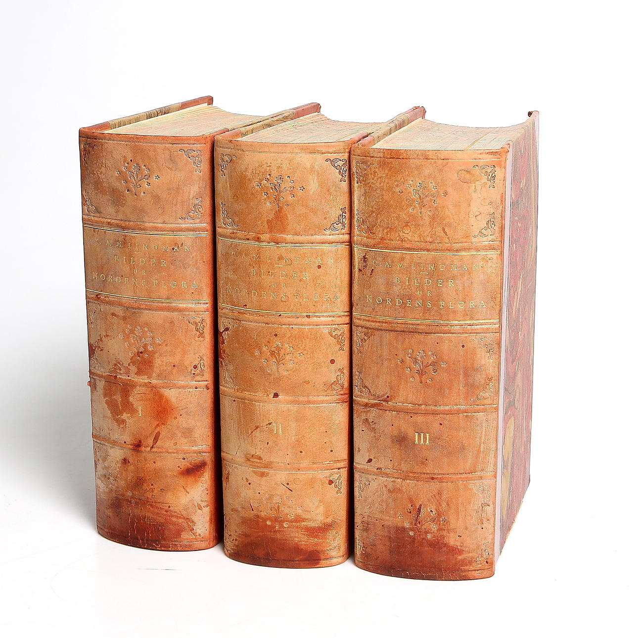 BÖCKER 3 vol, "Bilder ur Nordens Flora" av C.A.M. Lindman, 1922 och 1926.