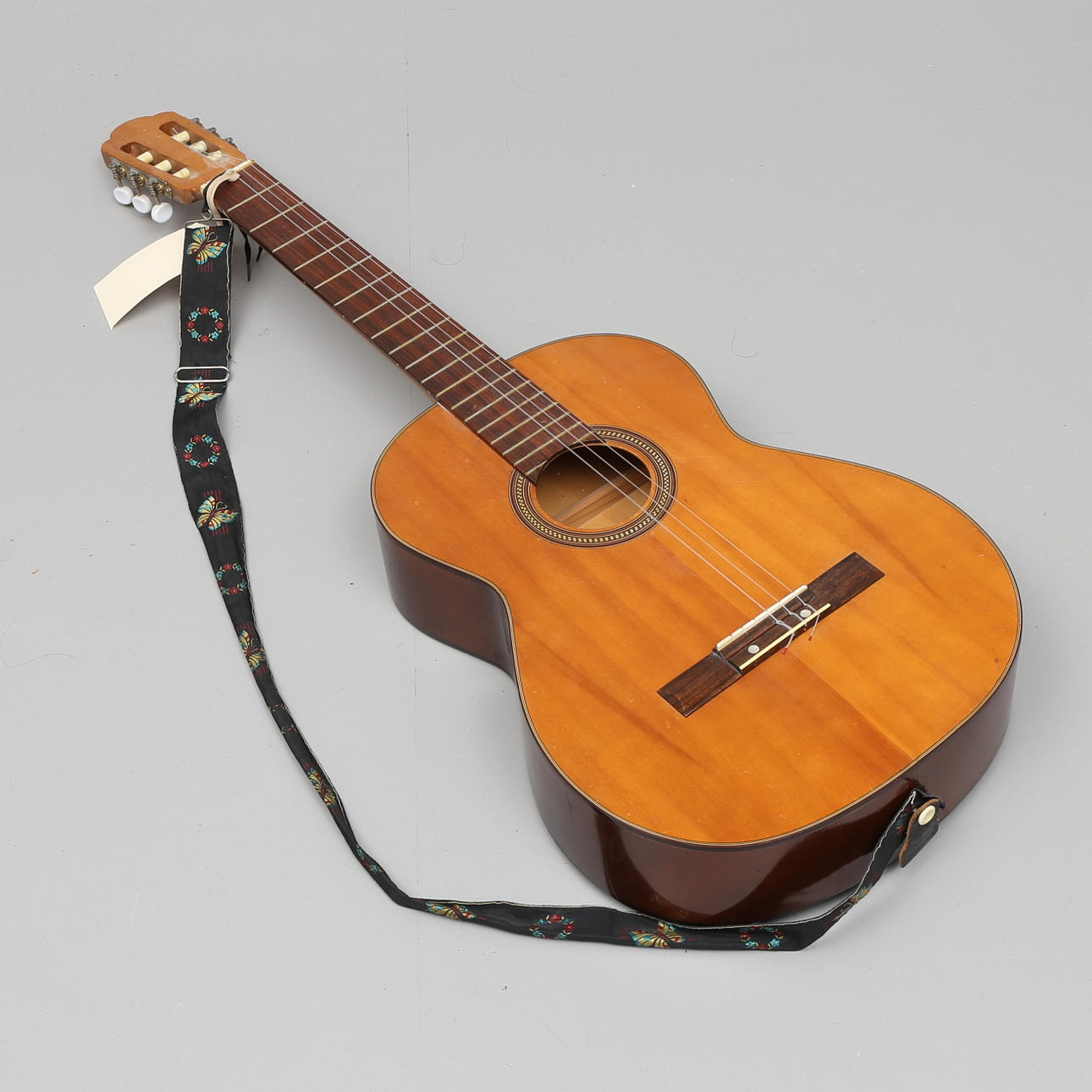 GITARR, aukustisk, Ibanez.