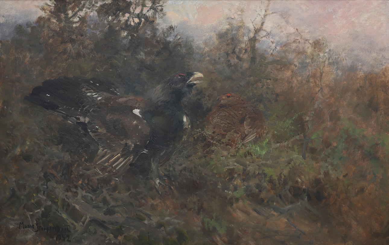 MOSSE STOOPENDAAL. «ALCAPARRAS».