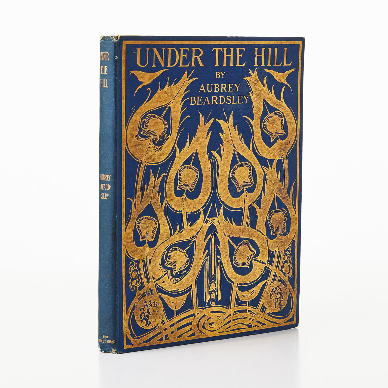 BEARDSLEY'S UNDER BAKKEN OG ANDRE ESSAYS 1904.