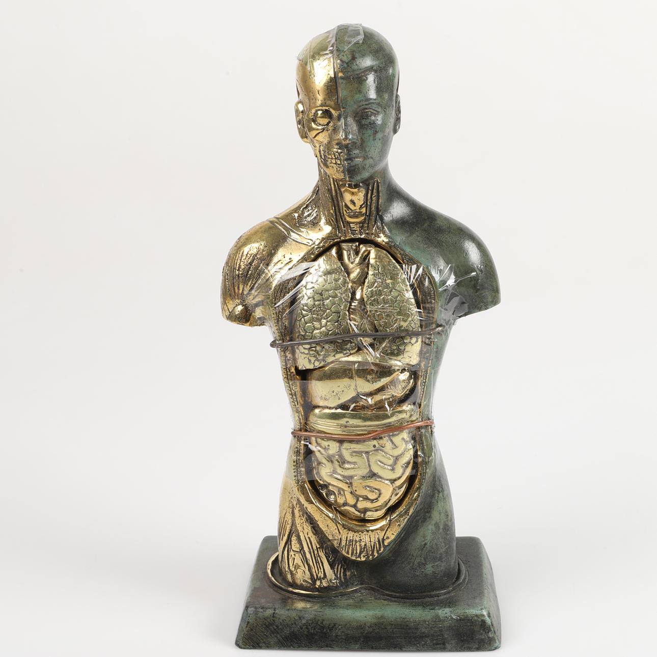 SCULPTURE, anatomical figure, bronze.