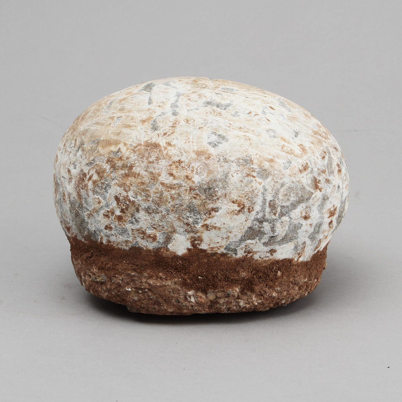 DINOSAURIEÄGG, fossil.