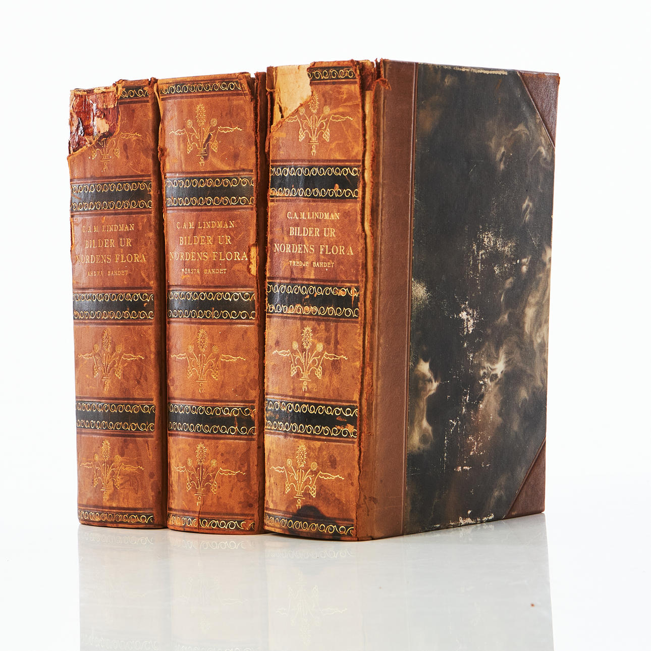 C.A.M Lindman „Flora des Nordens“.