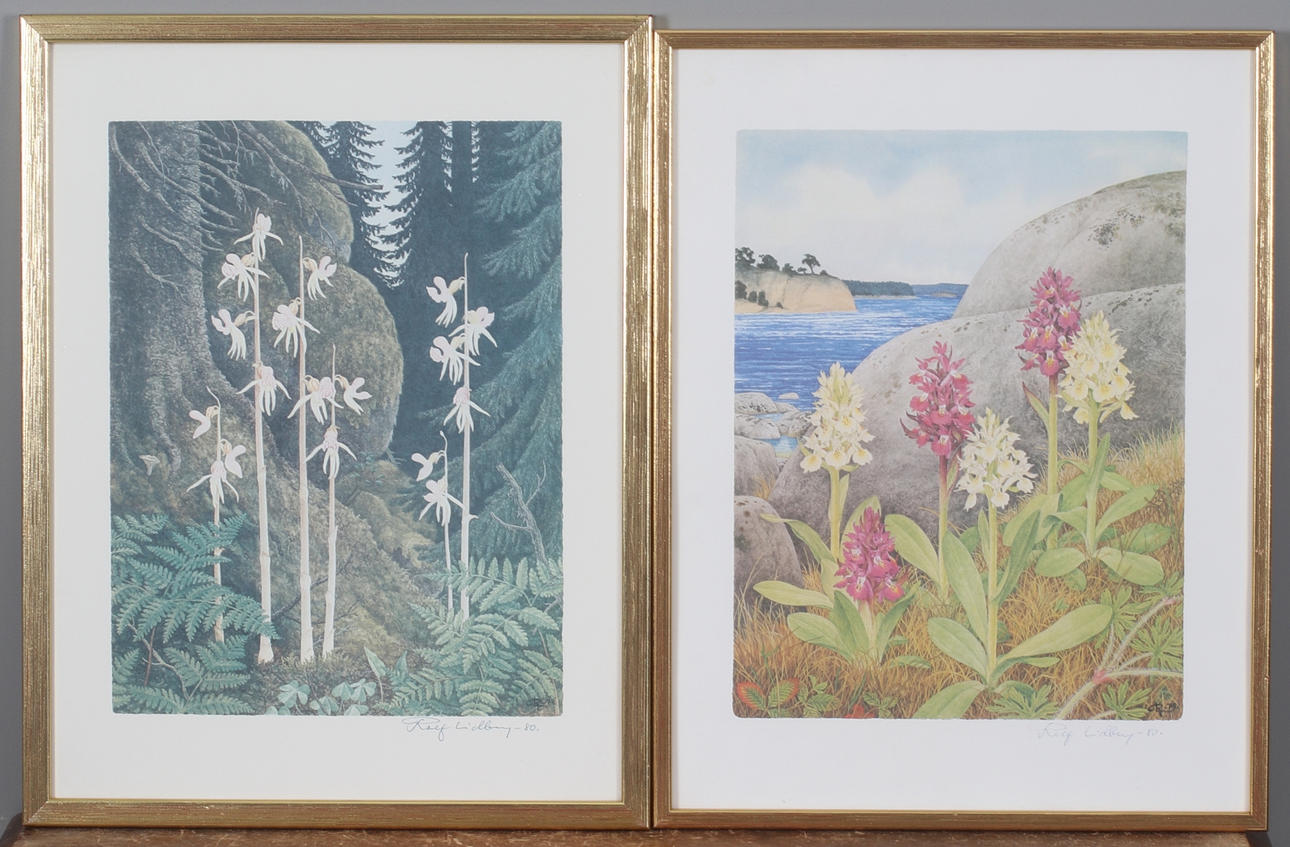 ROLF LIDBERG. Orchids, 2 pcs. prints, signed and dated -80.