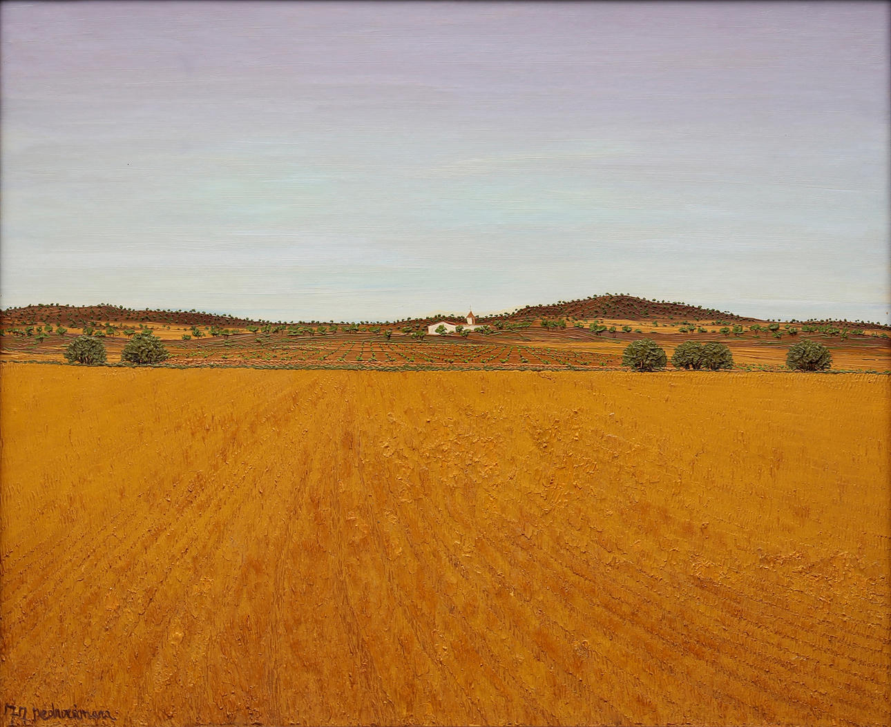 PEDRO CÁMARA. Rural view.