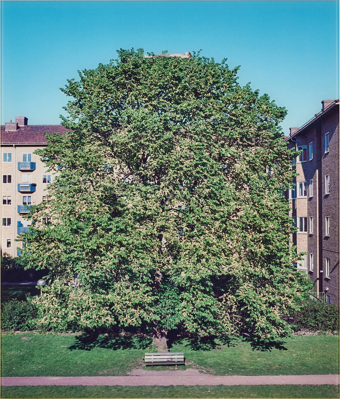 DAVID SVENSSON. "Funderingar i det gröna".