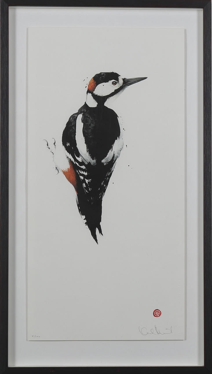 KARL MÅRTENS. Hackspett? färglitografi nr 81/290, signerad.