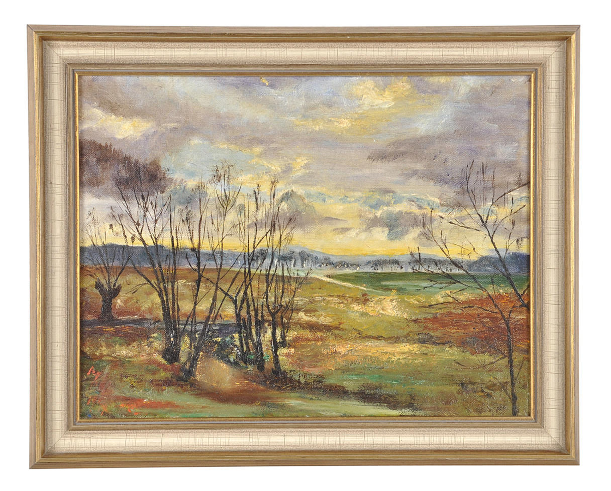 LANDSCHAFTSIMPRESSION. Moorland landskap med by i horisonten.