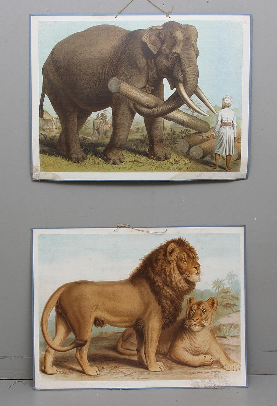 SKOLPLANSCHER, 2 st. Omkring 1900-talets mitt.