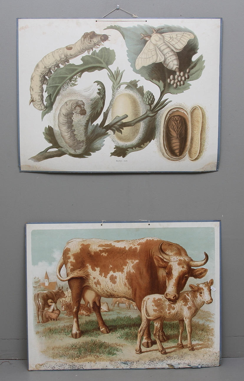 SKOLPLANSCHER, 2 st. Omkring 1900-talets mitt.