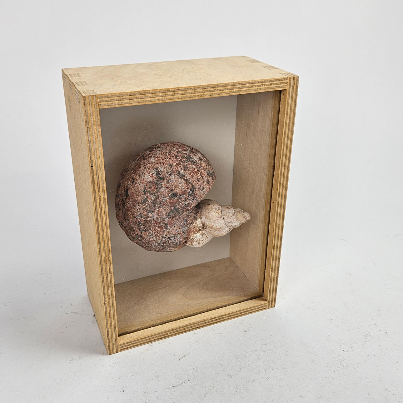 MARKO MERTALA. Sculpture. stone and shell, label-marked.