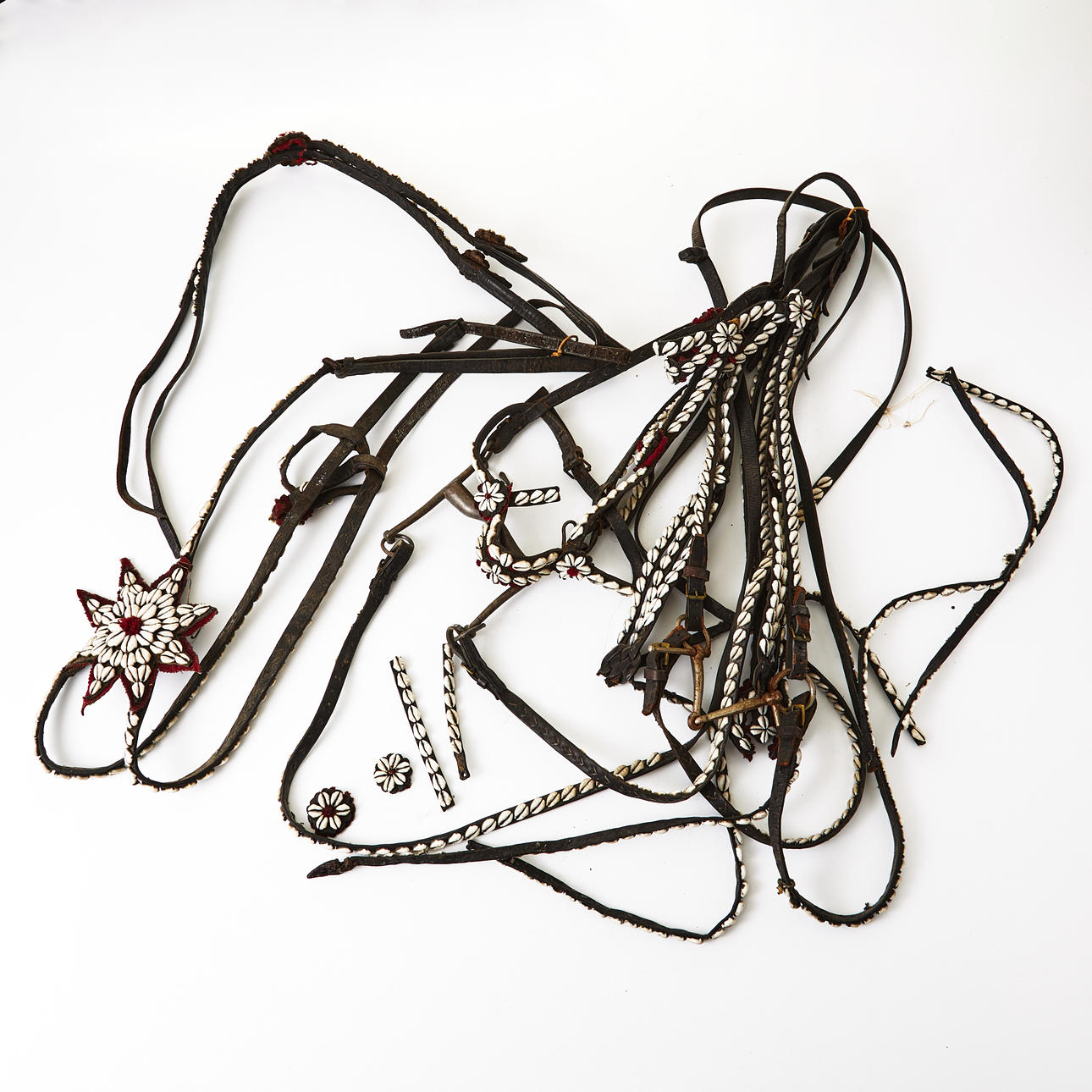 Brida de concha marina, siglos XVIII/XX.