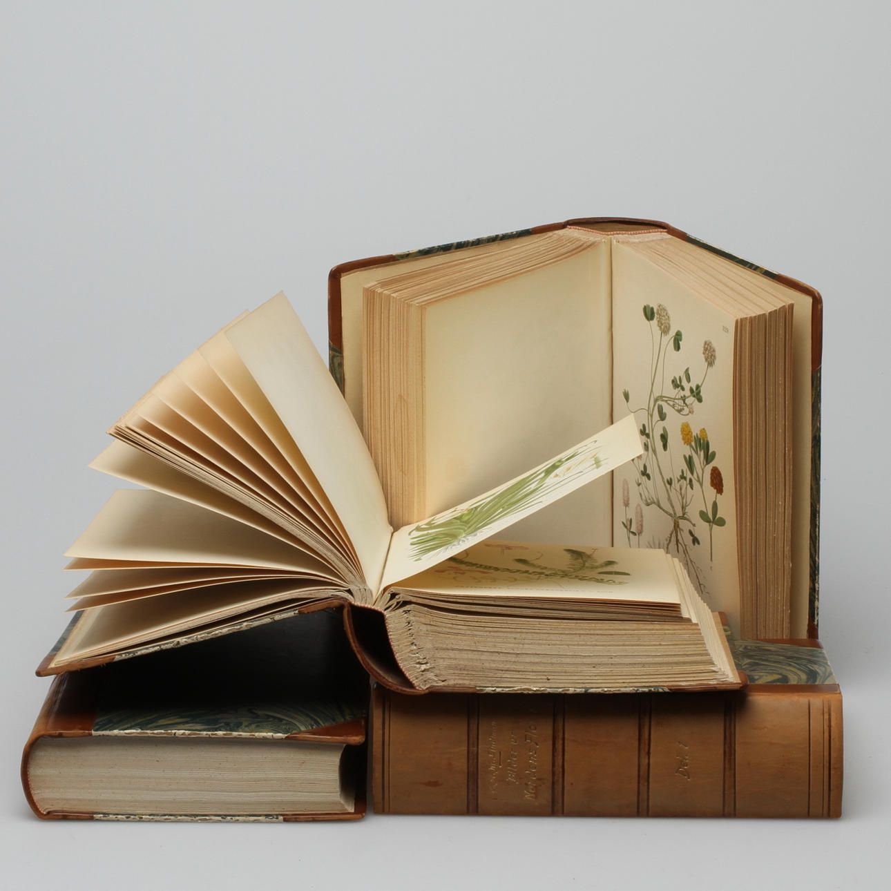 BÖCKER, 4 volymer, "Bilder ur Nordens Flora", C.A.M Lindman.