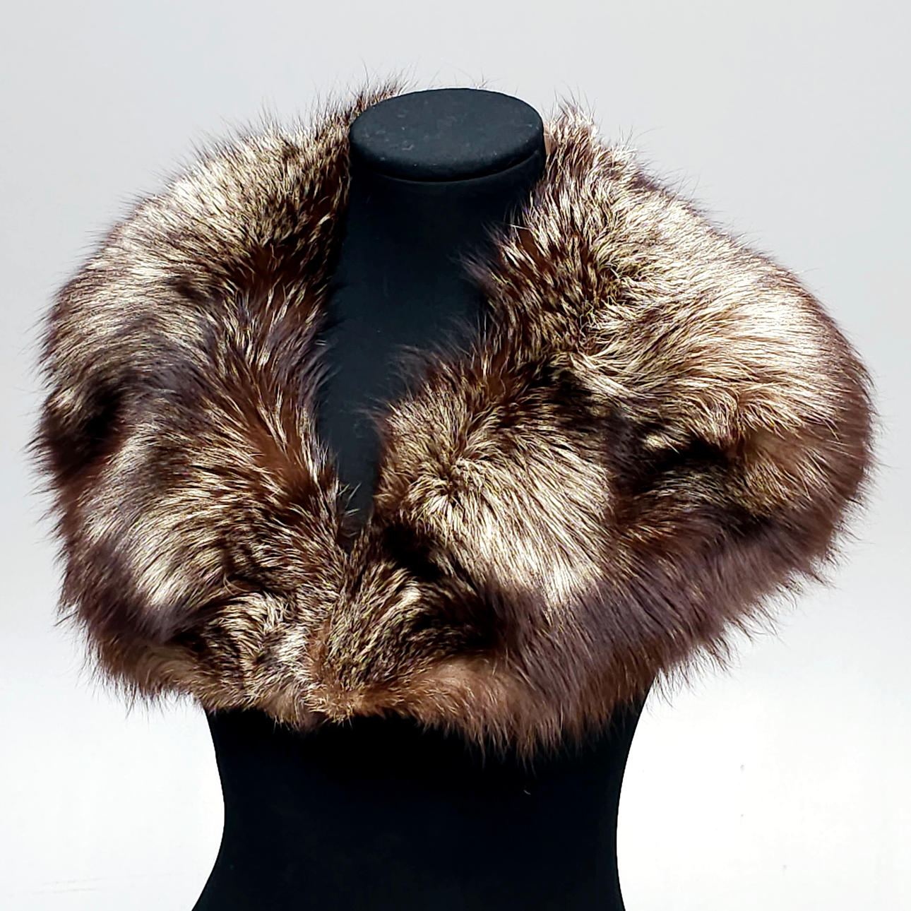 GRAN CUELLO EN ZORRO PLATEADO.