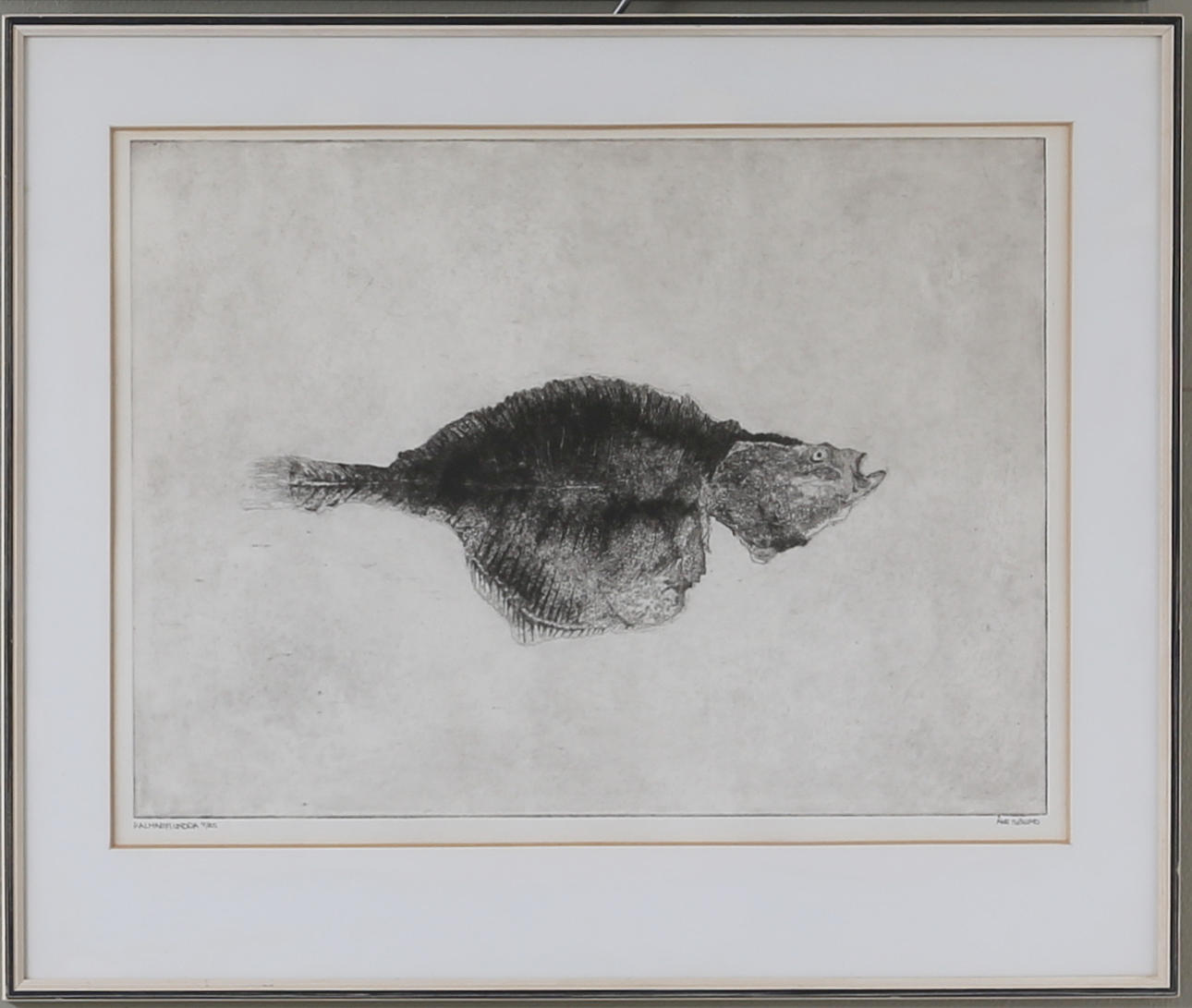 ÅKE SJÖLUND. "Kalmarflundra", grafiskt blad, numrerad 4/25, signerad.