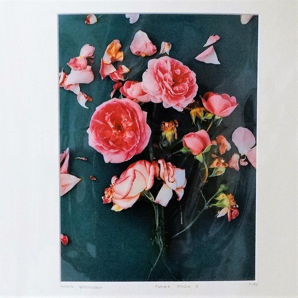 INGRID RASMUSSEN. FLOWER STUDY, photograph with passe-partout.
