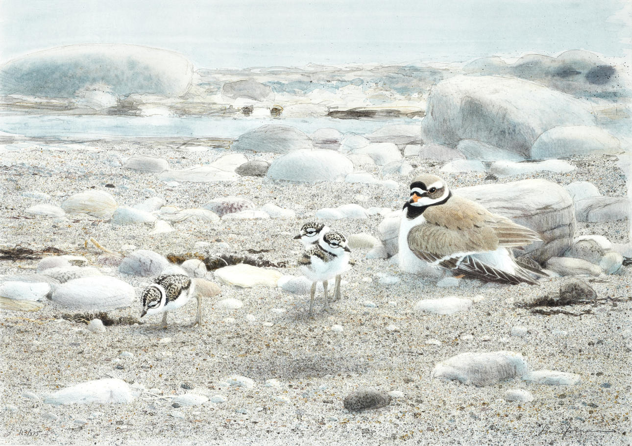 LARS JONSSON. Vårstrand, litografi.