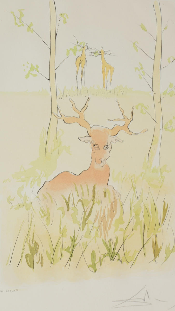 SALVADOR DALI. Färgetsning.