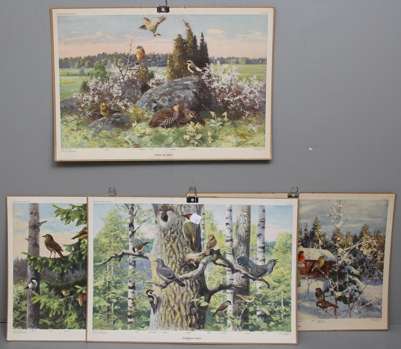 SKOLPLANSCHER, 4 st, efter Thure Wallner, Ivar Häggströms. Lito, Stockholm.