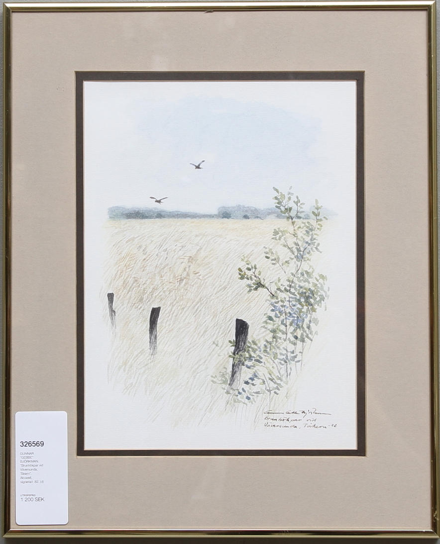 GUNNAR "GEBBE" BJÖRKMAN. "Brunhökpar vid Väversunda, Tåkern". Akvarell, signerad -82.