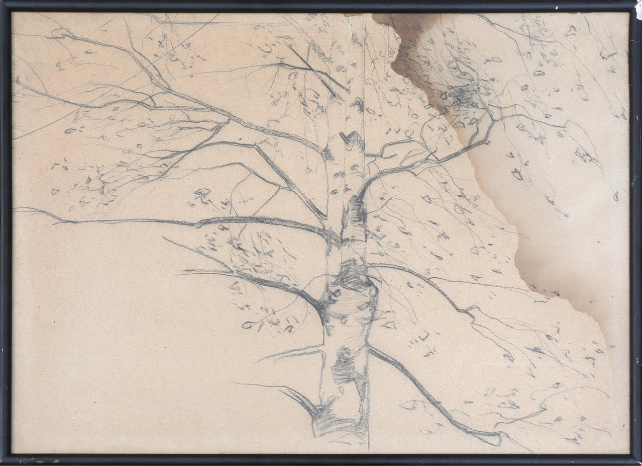 ATTRIBUTED TO VICTOR WESTERHOLM. drawing, unsigned, circa 1900.