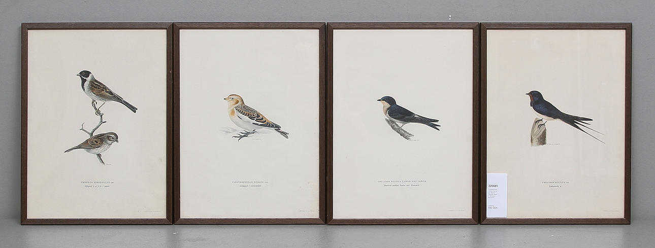 LITOGRAFISKA TRYCK, 4 st, ur von Wrights "Svenska fåglar", A. Börtzells, Stockholm.