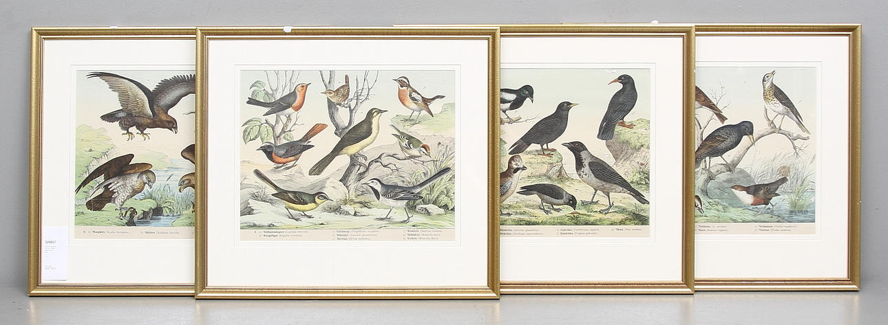 SKOLPLANSCHER, 4 st, 1900-talets första hälft.