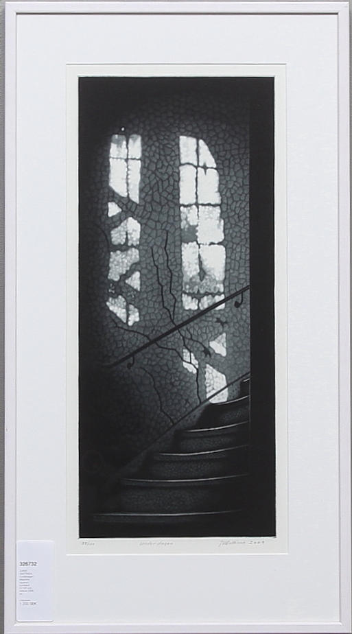 JUKKA VÄNTTINEN. "Underdagen". Mezzotint, signerad, numrerad 37/120 och daterad 2009.