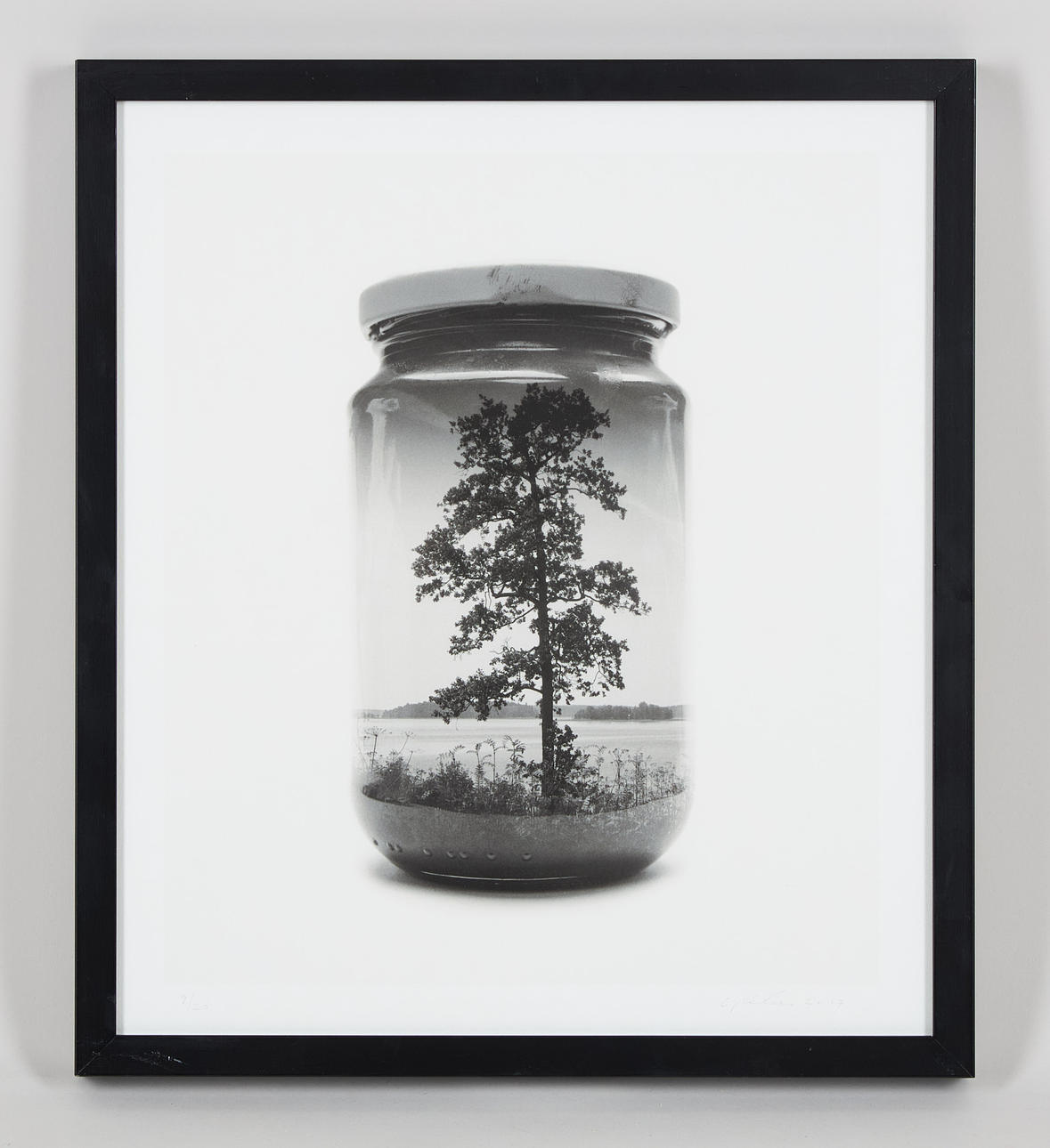CHRISTOFFER RELANDER (1986). “Jarred Tree” (2016) signed and dated 2017, multiple exposure, 9/20 (3 AP).