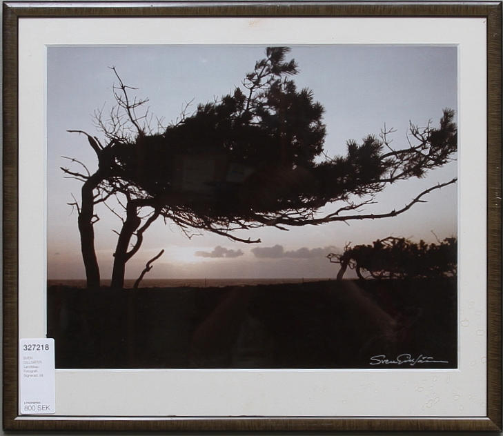 SVEN GILLSÄTER. Landskap. Fotografi. Signerad.