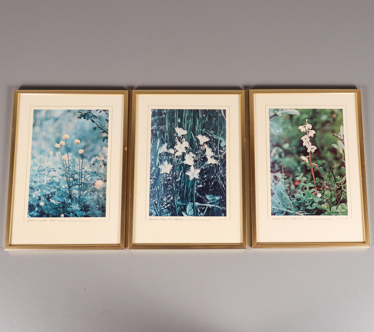 SVEN HÖRNELL druckt 3 Stück.