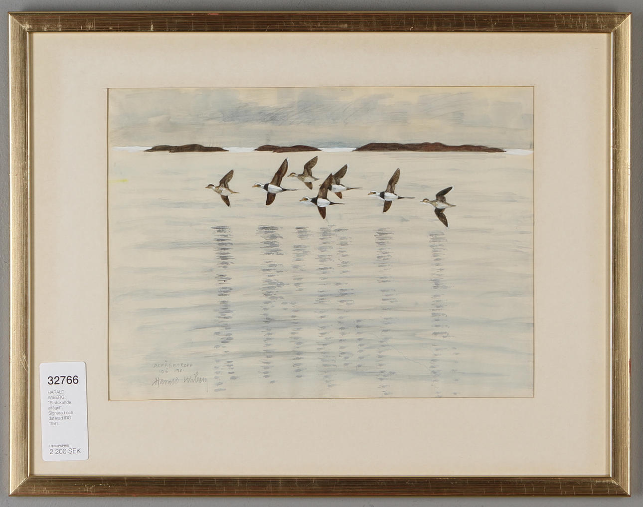 HARALD WIBERG. "Sträckande alfågel". Signerad och daterad IDÖ 1981.