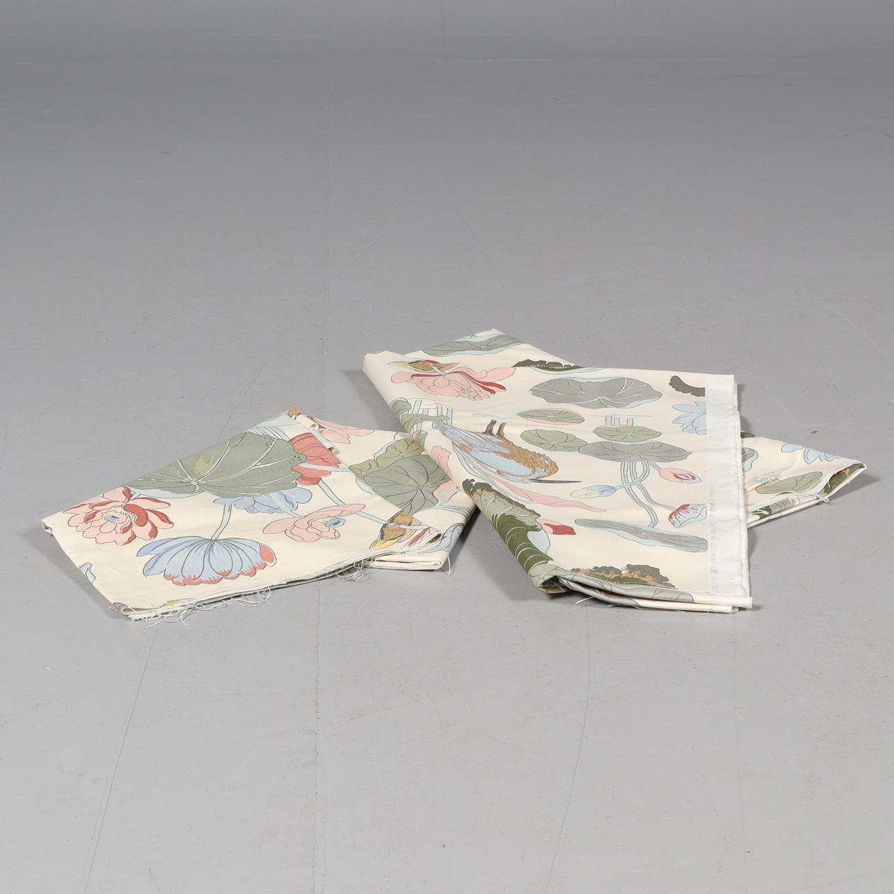 STUCCHINI, “Nymphus” G.P. & J. Baker.