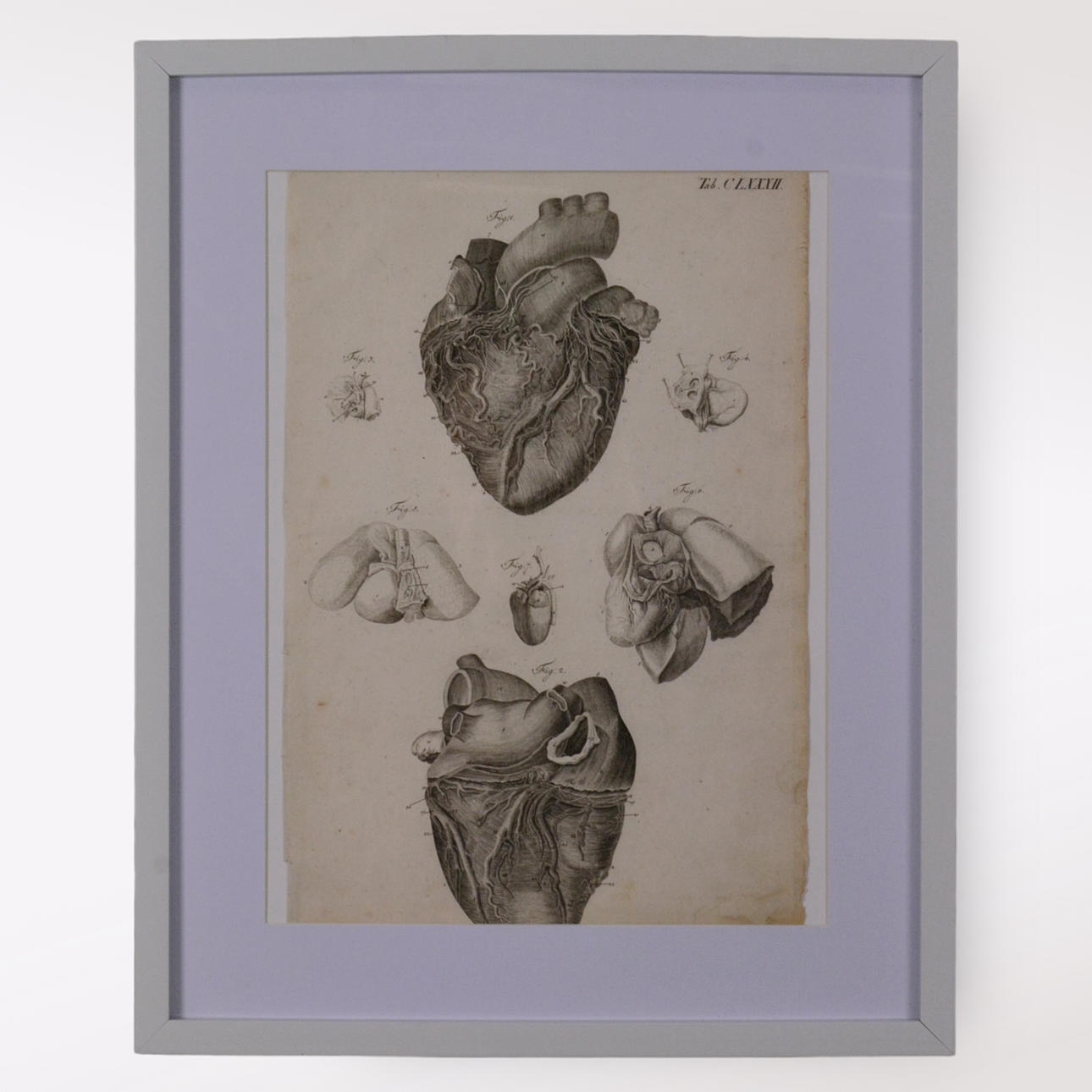 JUSTUS CHRISTIAN LODER. Kopparstick.