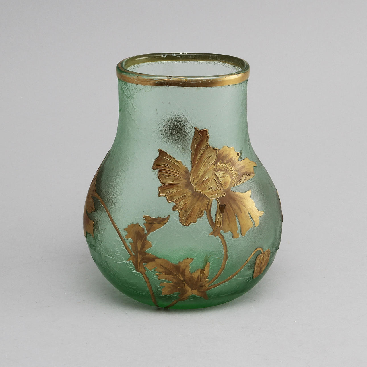 VAS, glas, Mont Joye, jugend.