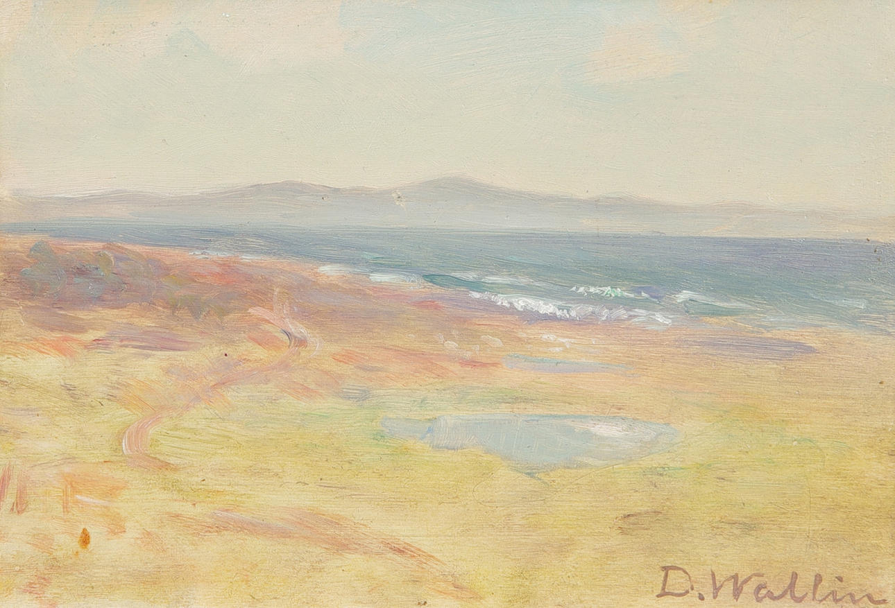DAVID WALLIN. Kustlandskap, olja på pannå, signerad D. Wallin.
