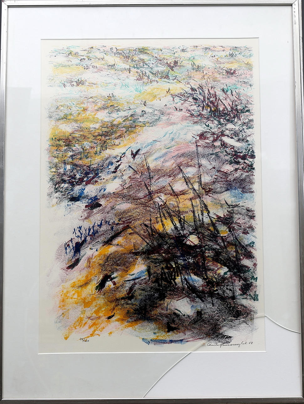 ANITA HOUVENAEGHEL. Mellem årstiderne, färglitografi, signerat och daterat 88.