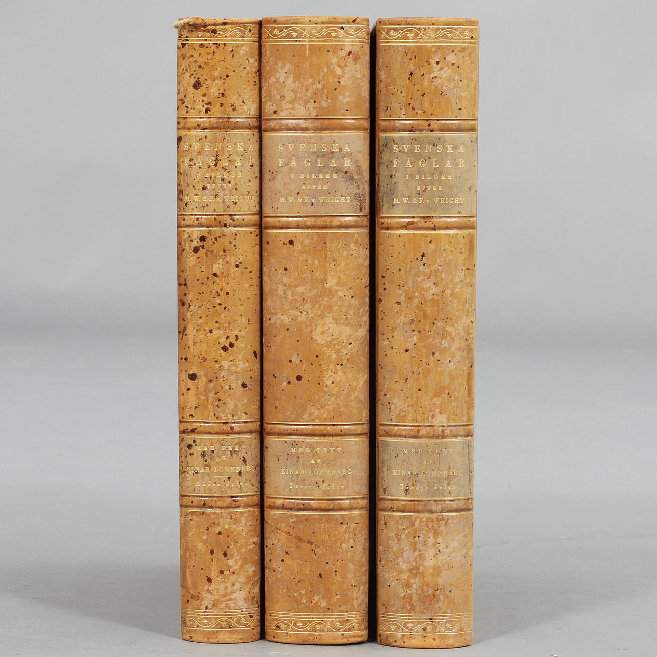 SVENSKA FÅGLAR, 3 band, M.W.& F.v. Wright.