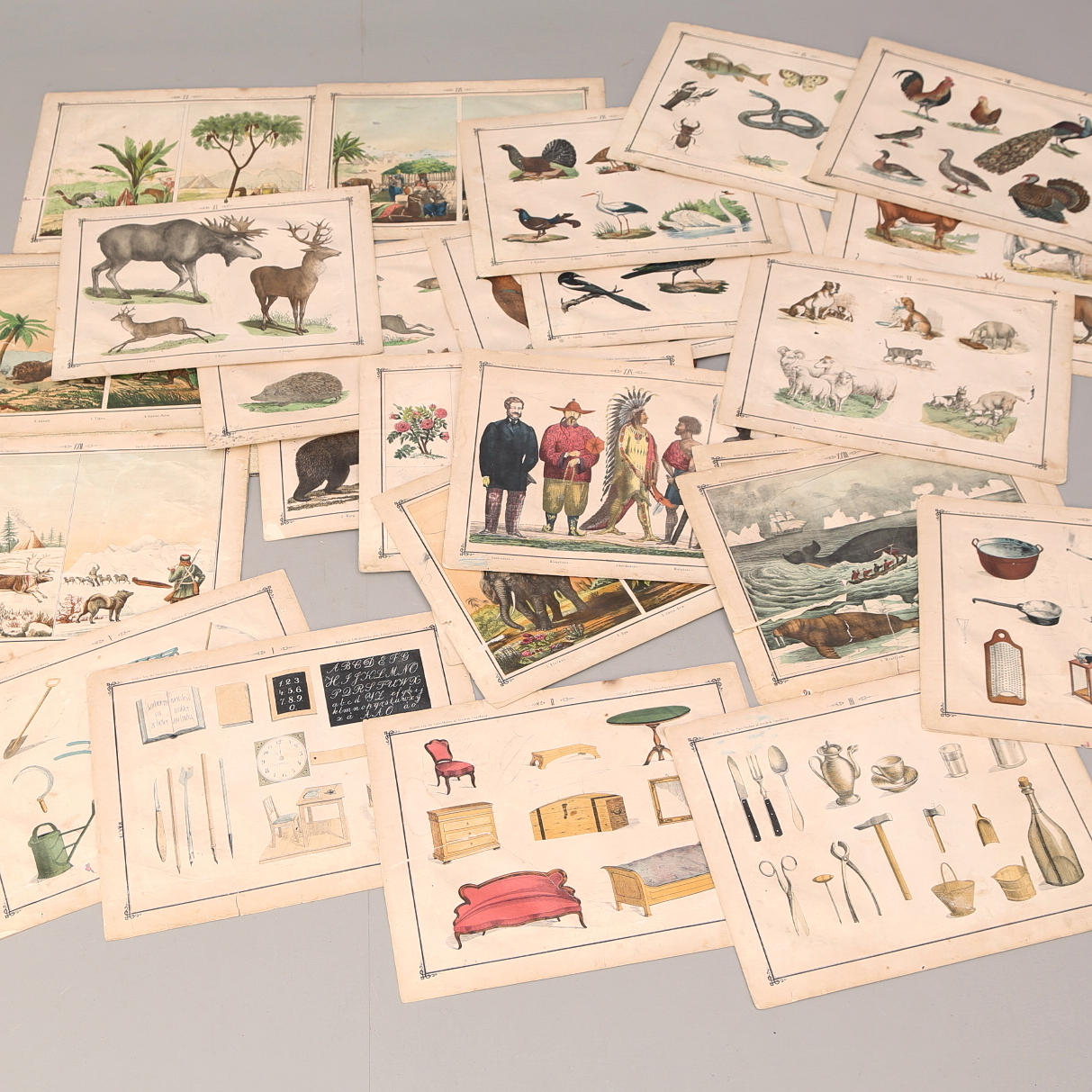 SKOLPLANSCHER, 25 st i mapp, "Bilder-Ark för småskolan av Fredrik Sandberg".