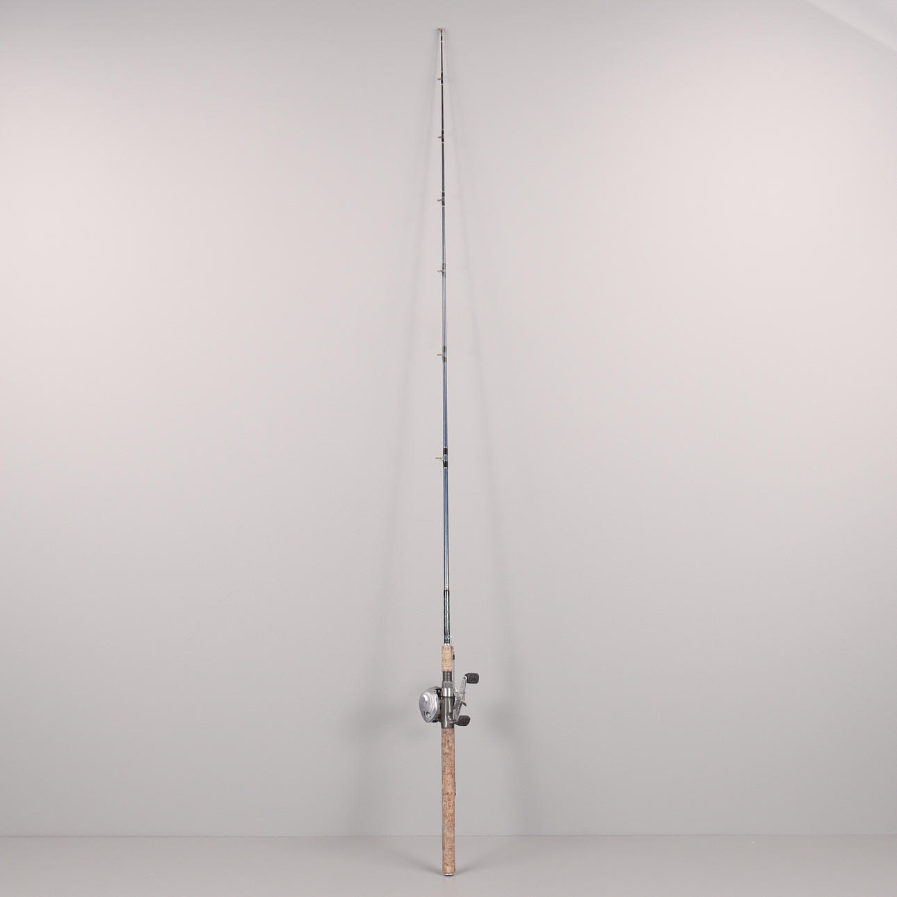 FISKESPÖ MED RULLE.